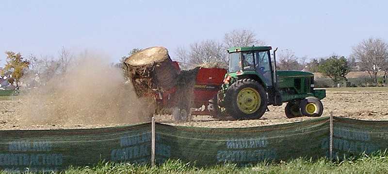 spreading grass seed