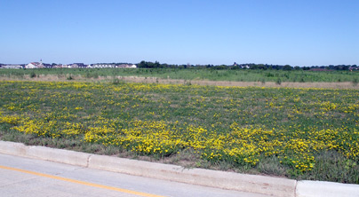 target looking west