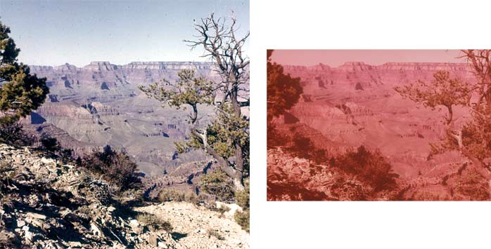 scan comparison grand canyon walgreens